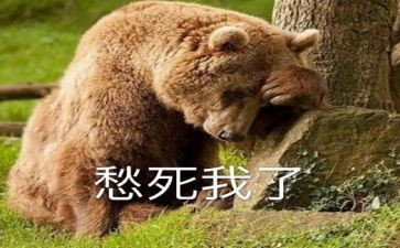 关于愁的作文最新7篇