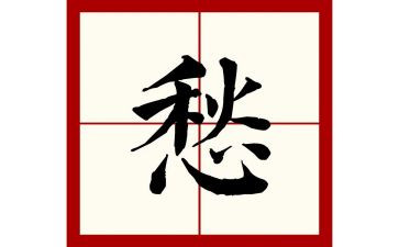 乡愁观后感8篇