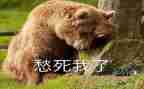 关于愁的作文最新7篇