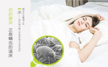 除螨活动的总结报告参考7篇