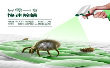 消毒除螨工作计划8篇