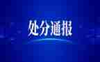 团处分撤销申请书7篇