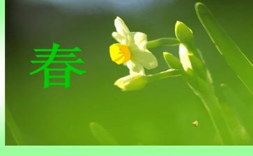 青春向党演讲稿最新7篇