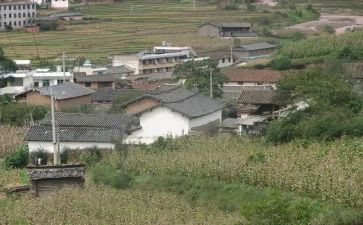 村工作总结及2024年工作计划范文通用6篇