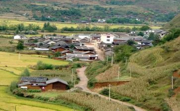 村财务年终工作总结报告8篇