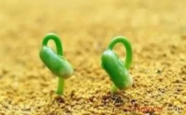 挫折不可怕作文8篇