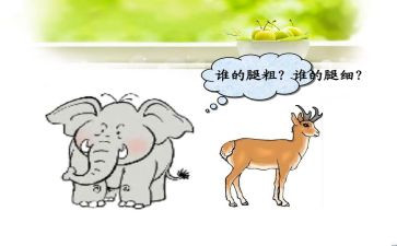 比较粗细中班数学教案5篇