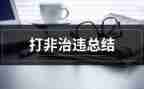 打非治违烟花爆竹工作总结6篇