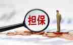 担保公司周工作计划6篇