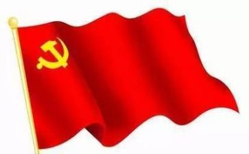 党年终总结报告模板7篇