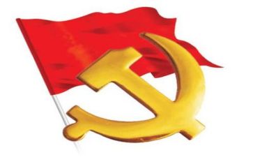 党年终总结报告7篇