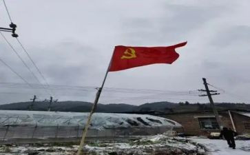党员转正四申请书通用5篇