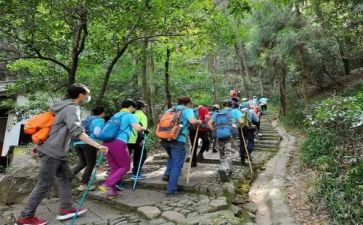 登高节活动策划8篇