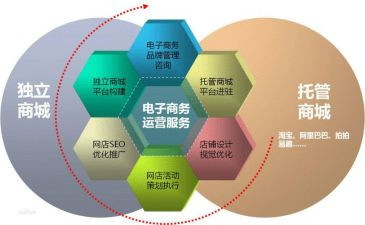 电商劳动合同6篇