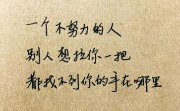 我读懂了_作文6篇