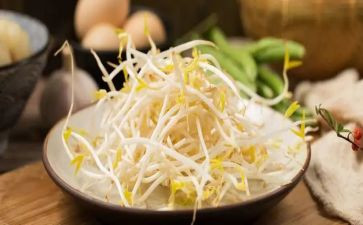 抄豆芽作文7篇