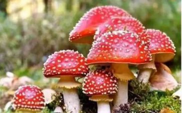 看禁毒所心得体会模板8篇