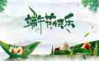 端午节作文儿500字精选6篇