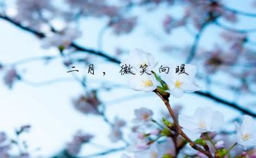 中班十二月份工作计划8篇