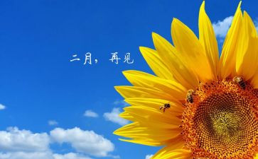 十二月份小班幼儿工作总结6篇
