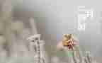 小班十二月份工作总结8篇