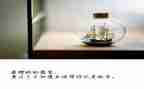 国庆放假作文5篇