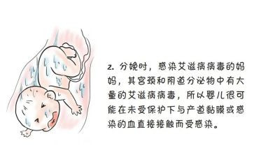 防艾的演讲稿5篇