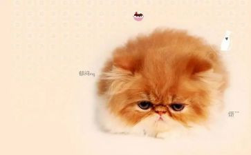 我的烦恼作文600字初中作文7篇