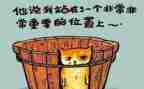 工作总结的个人反思7篇