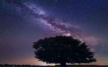 读了繁星的读后感优质8篇