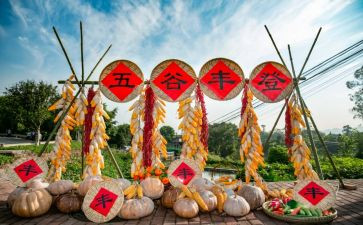 农民丰收节活动心得体会8篇