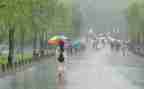 风雨中我作文600作文模板8篇