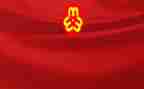 2024年妇联工作述职报告6篇