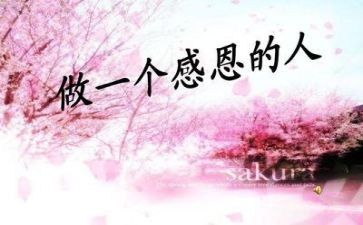 我懂得了感恩450字作文6篇
