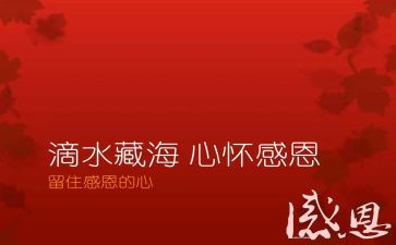 演讲稿感恩范文最新6篇