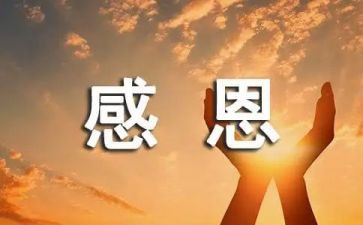 感恩活动的活动总结与反思6篇