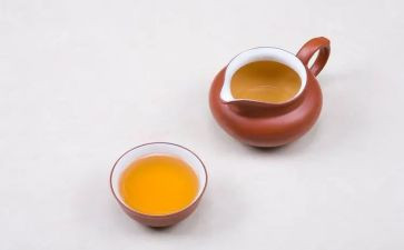 幼儿园教师纲要心得体会5篇