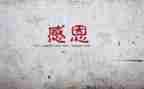 作文我感谢母亲作文精选6篇