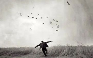 写告别作文优质6篇