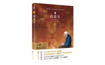 《高老头》读后感600字6篇