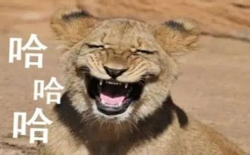 搞笑版作文优质6篇