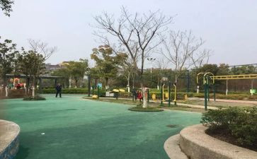去公园作文400字5篇