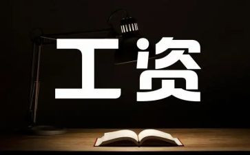 做工资工作总结6篇