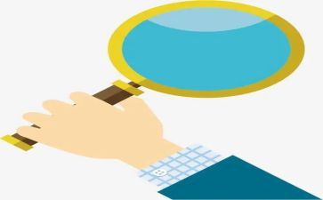 观察免子作文300字6篇