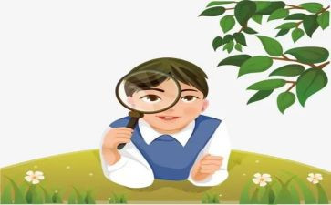 猫的观察作文600字5篇