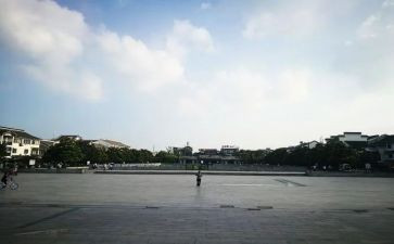 通往广场的路不止一条读后感8篇
