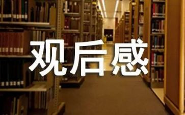 蓝观后感600字模板6篇