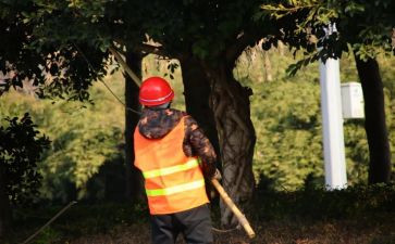 2024年主管护士述职报告5篇