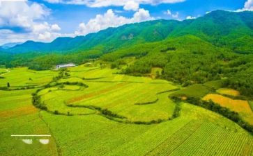 国土局述职报告8篇