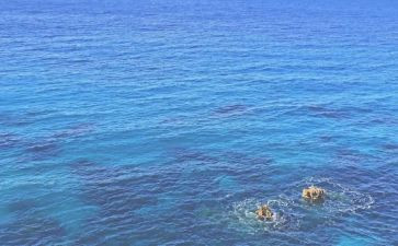 海上的日出读后感7篇